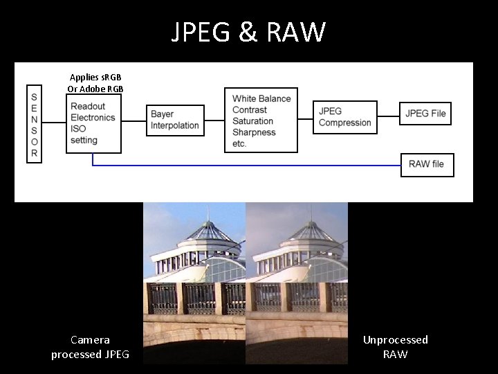 JPEG & RAW Applies s. RGB Or Adobe RGB Camera processed JPEG Unprocessed RAW