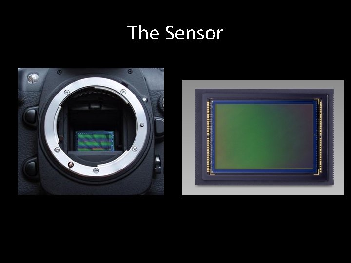 The Sensor 