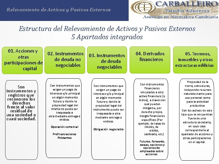 Relevamiento de Activos y Pasivos Externos Estructura del Relevamiento de Activos y Pasivos Externos