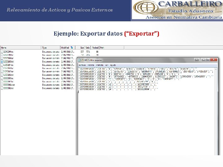 Relevamiento de Activos y Pasivos Externos Ejemplo: Exportar datos (“Exportar”) 