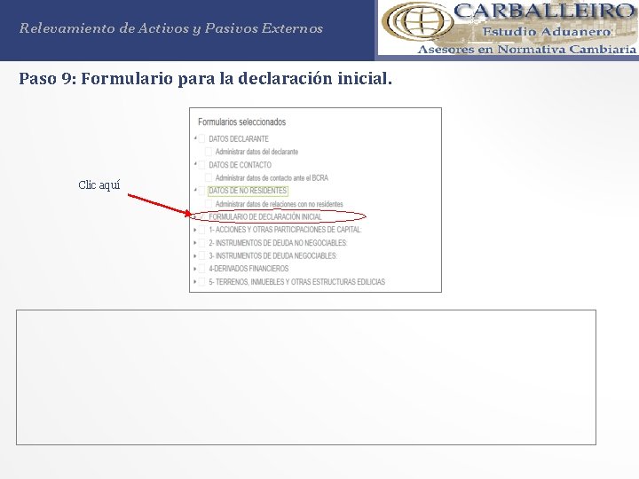 Relevamiento de Activos y Pasivos Externos Paso 9: Formulario para la declaración inicial. Clic