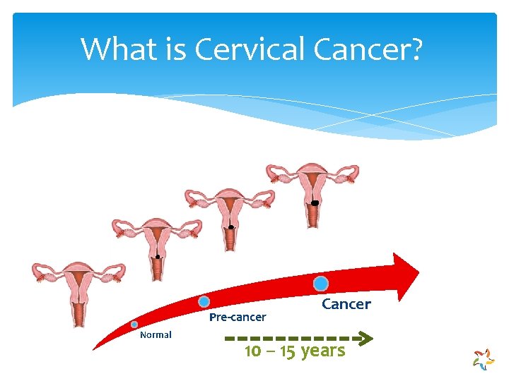What is Cervical Cancer? Pre-cancer Normal Cancer 10 – 15 years 