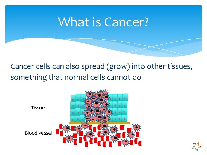What is Cancer? Cancer cells can also spread (grow) into other tissues, something that