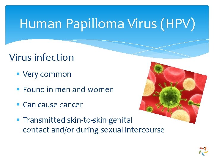 Human Papilloma Virus (HPV) Virus infection § Very common § Found in men and