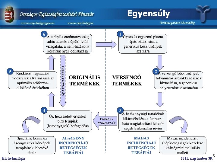 Egyensúly Biotechnológia 6 2011. szeptember 30. 