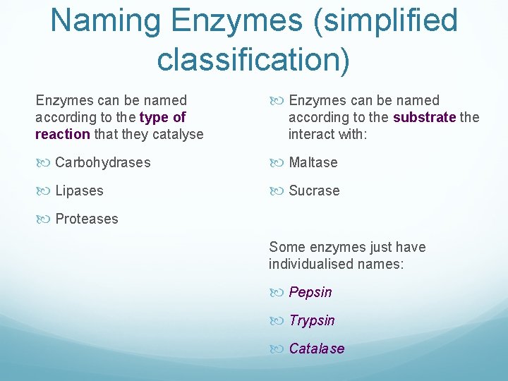 Naming Enzymes (simplified classification) Enzymes can be named according to the type of reaction