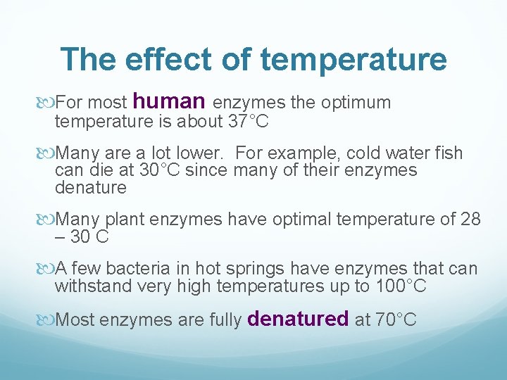 The effect of temperature For most human enzymes the optimum temperature is about 37°C