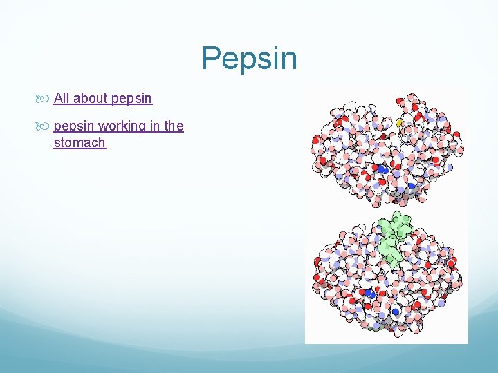 Pepsin All about pepsin working in the stomach 