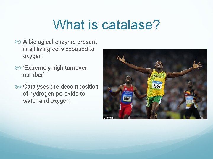 What is catalase? A biological enzyme present in all living cells exposed to oxygen