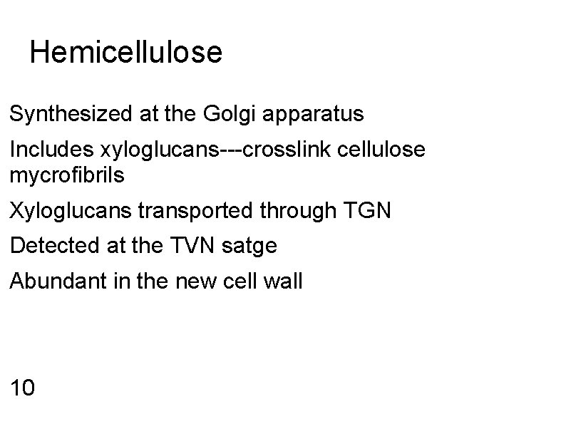 Hemicellulose Synthesized at the Golgi apparatus Includes xyloglucans---crosslink cellulose mycrofibrils Xyloglucans transported through TGN