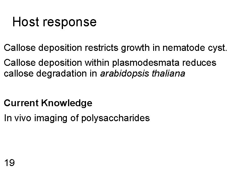 Host response Callose deposition restricts growth in nematode cyst. Callose deposition within plasmodesmata reduces