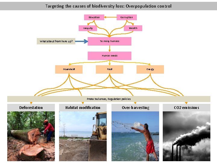 Targeting the causes of biodiversity loss: Overpopulation control Education Corruption Inequity What about from