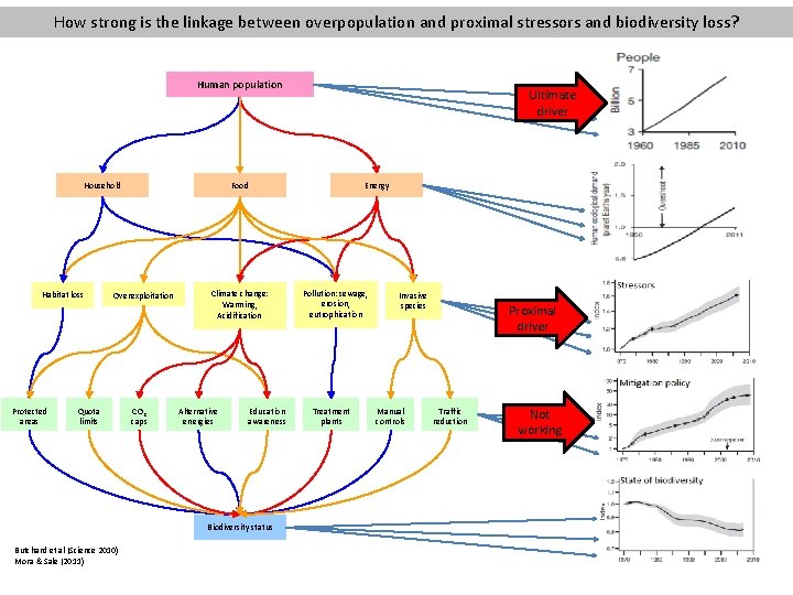 How strong is the linkage between overpopulation and proximal stressors and biodiversity loss? Human