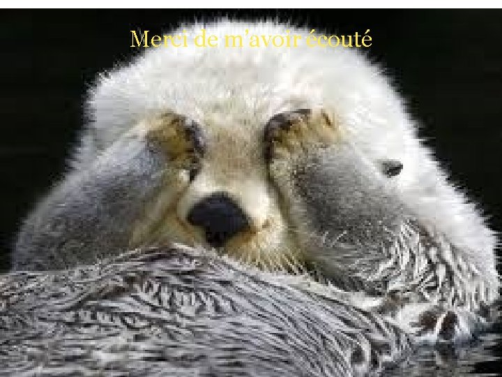 Merci de m’avoir écouté 