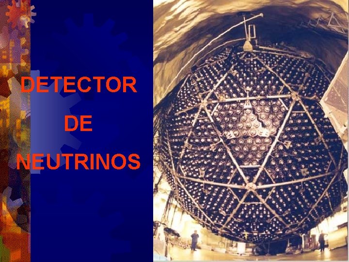 DETECTOR DE NEUTRINOS 