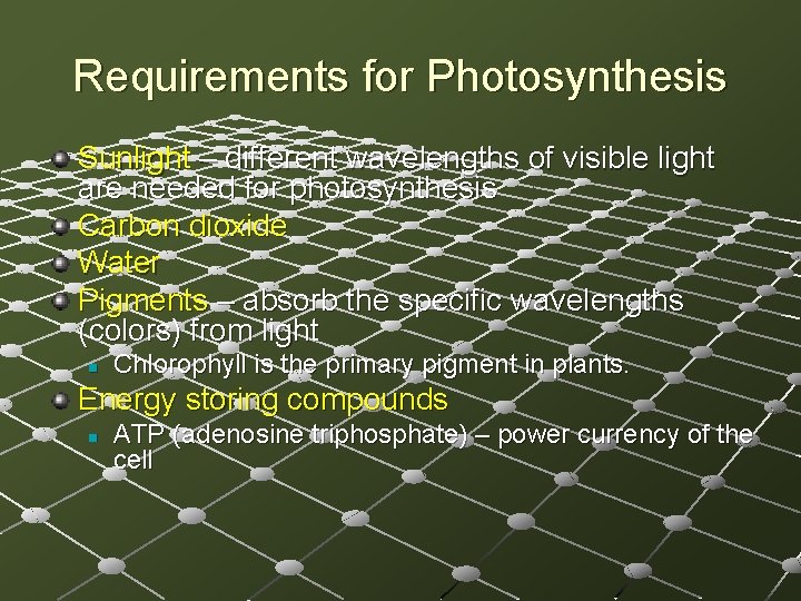 Requirements for Photosynthesis Sunlight – different wavelengths of visible light are needed for photosynthesis