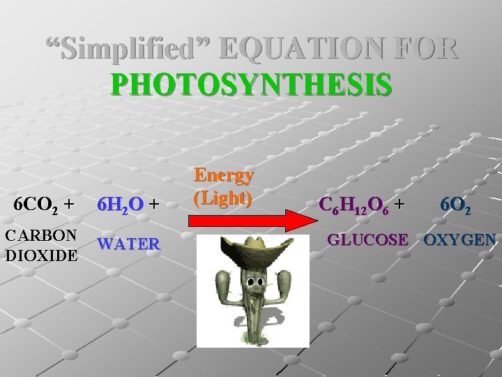 “Simplified” EQUATION FOR PHOTOSYNTHESIS 6 CO 2 + 6 H 2 O + CARBON