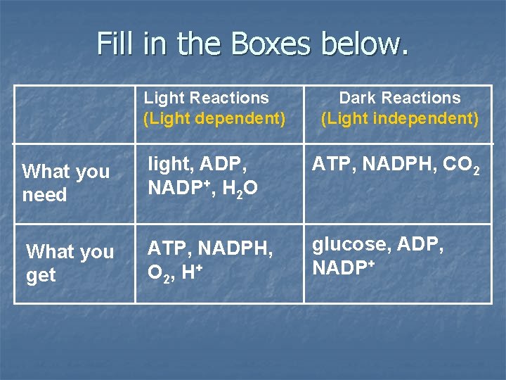 Fill in the Boxes below. Light Reactions (Light dependent) Dark Reactions (Light independent) What