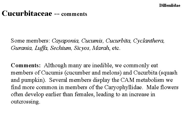 Dilleniidae Cucurbitaceae -- comments Some members: Cayaponia, Cucumis, Cucurbita, Cyclanthera, Gurania, Luffa, Sechium, Sicyos,