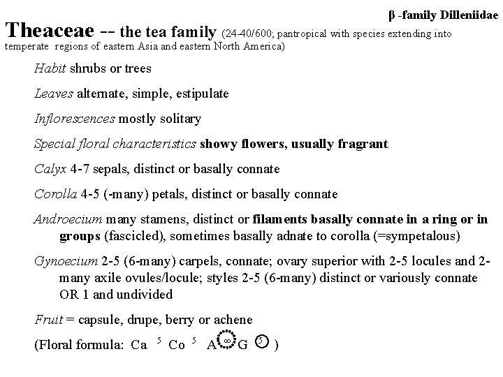 β -family Dilleniidae Theaceae -- the tea family (24 -40/600; pantropical with species extending