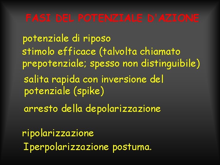 FASI DEL POTENZIALE D'AZIONE potenziale di riposo stimolo efficace (talvolta chiamato prepotenziale; spesso non