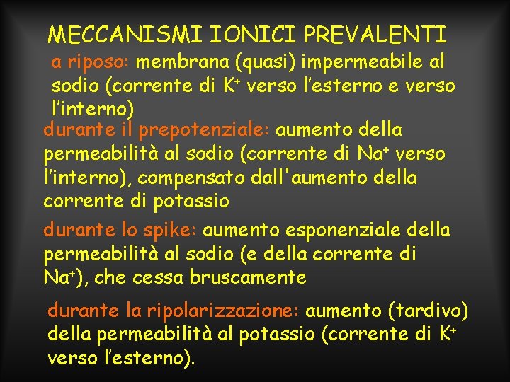 MECCANISMI IONICI PREVALENTI a riposo: membrana (quasi) impermeabile al sodio (corrente di K+ verso