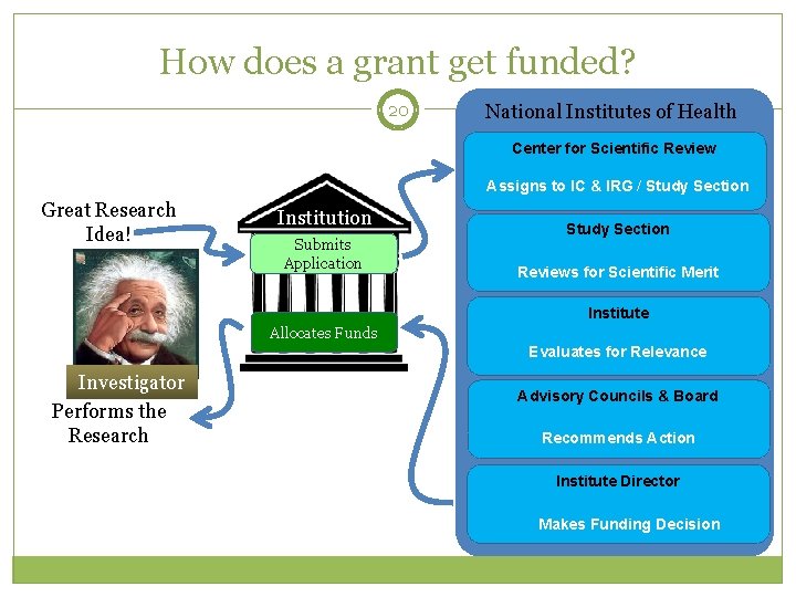 How does a grant get funded? 20 National Institutes of Health Center for Scientific