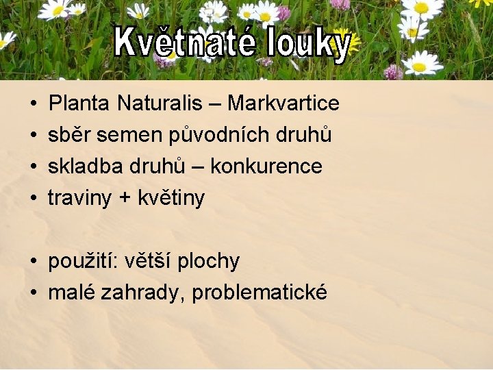  • • Planta Naturalis – Markvartice sběr semen původních druhů skladba druhů –