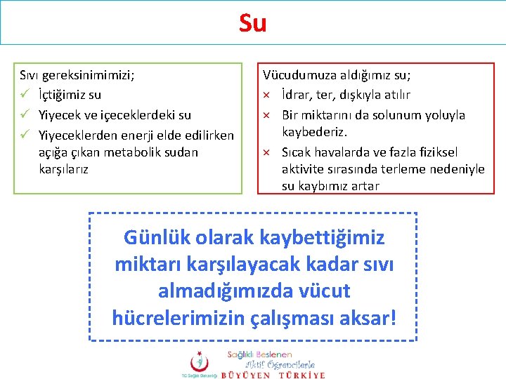 Su Sıvı gereksinimimizi; ü İçtiğimiz su ü Yiyecek ve içeceklerdeki su ü Yiyeceklerden enerji