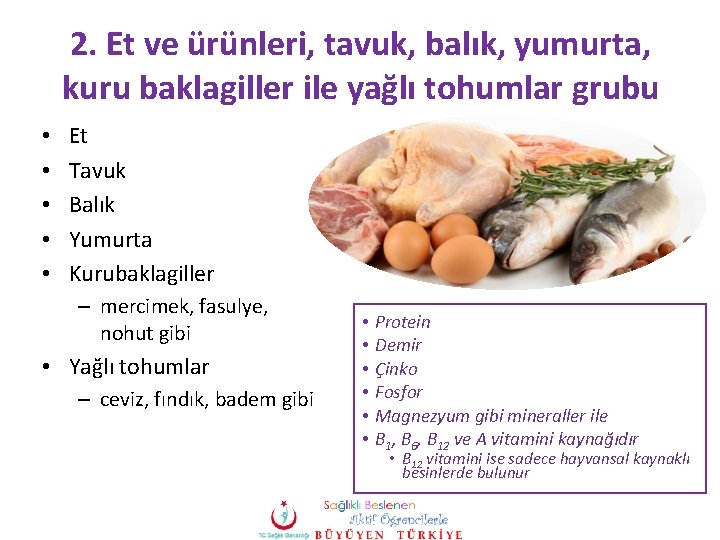 2. Et ve ürünleri, tavuk, balık, yumurta, kuru baklagiller ile yağlı tohumlar grubu •