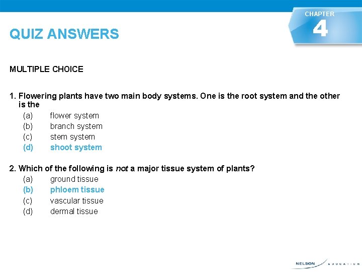 CHAPTER QUIZ ANSWERS 4 MULTIPLE CHOICE 1. Flowering plants have two main body systems.