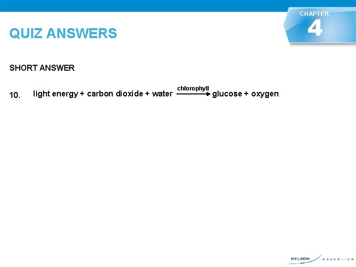CHAPTER 4 QUIZ ANSWERS SHORT ANSWER 10. light energy + carbon dioxide + water