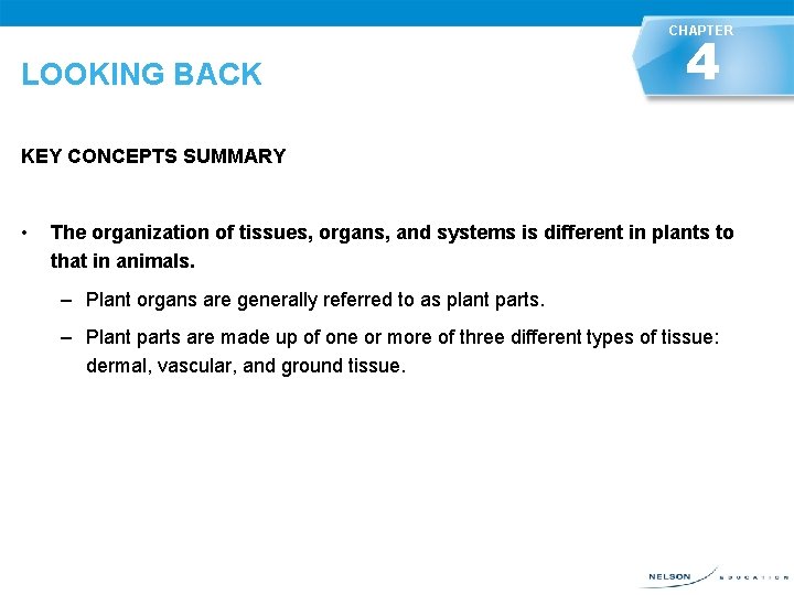 CHAPTER LOOKING BACK KEY CONCEPTS SUMMARY • 4 LOOKING BACK The organization of tissues,