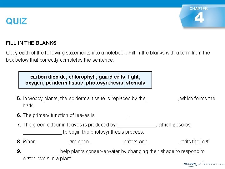 CHAPTER QUIZ 4 FILL IN THE BLANKS Copy each of the following statements into