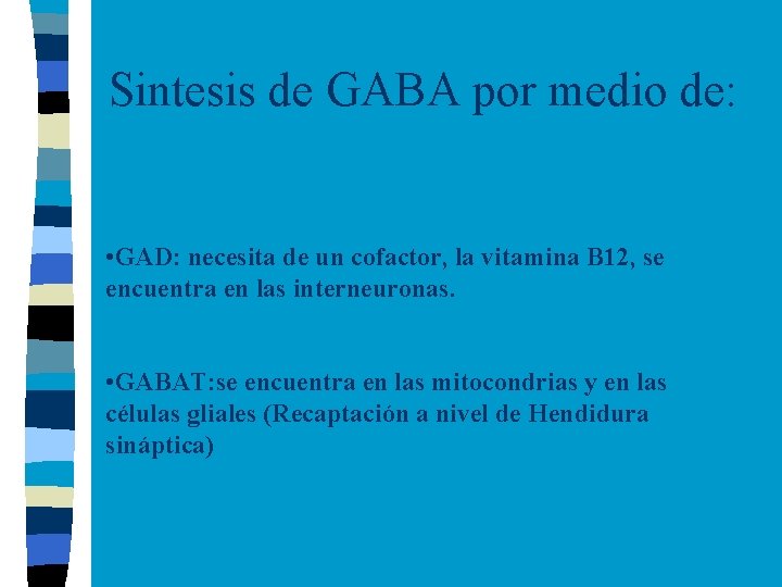 Sintesis de GABA por medio de: • GAD: necesita de un cofactor, la vitamina