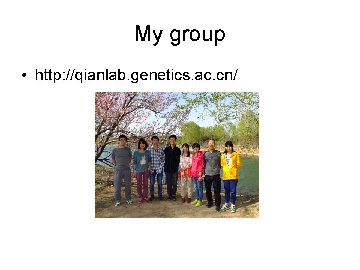 My group • http: //qianlab. genetics. ac. cn/ 