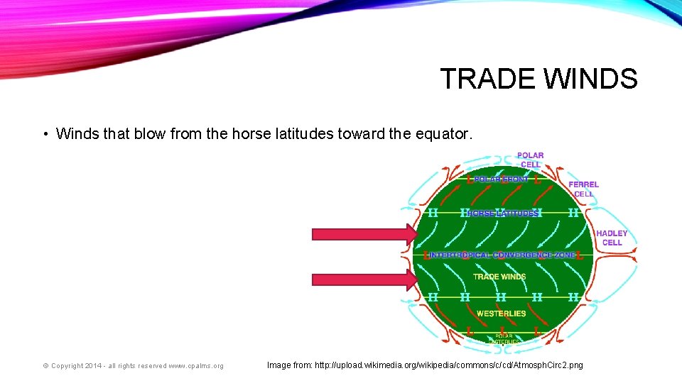 TRADE WINDS • Winds that blow from the horse latitudes toward the equator. ©