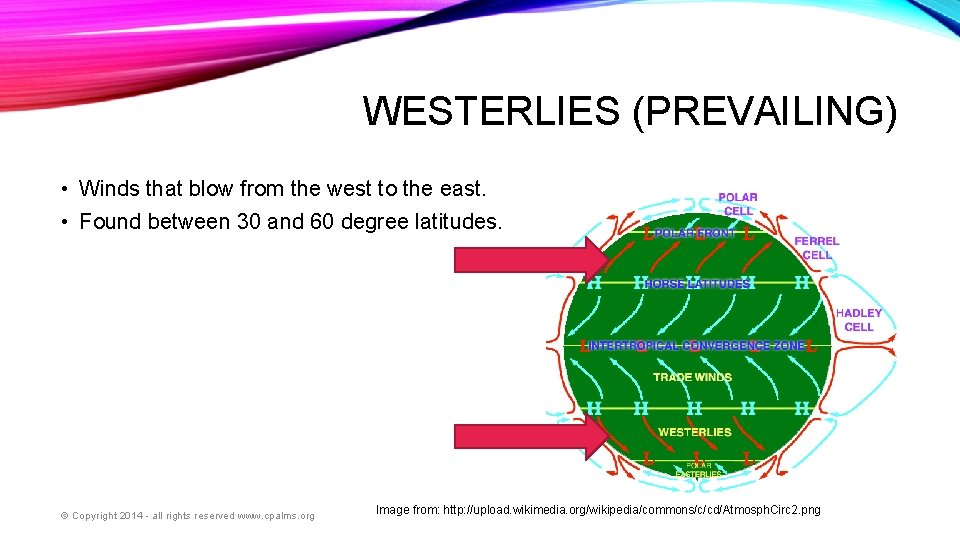 WESTERLIES (PREVAILING) • Winds that blow from the west to the east. • Found