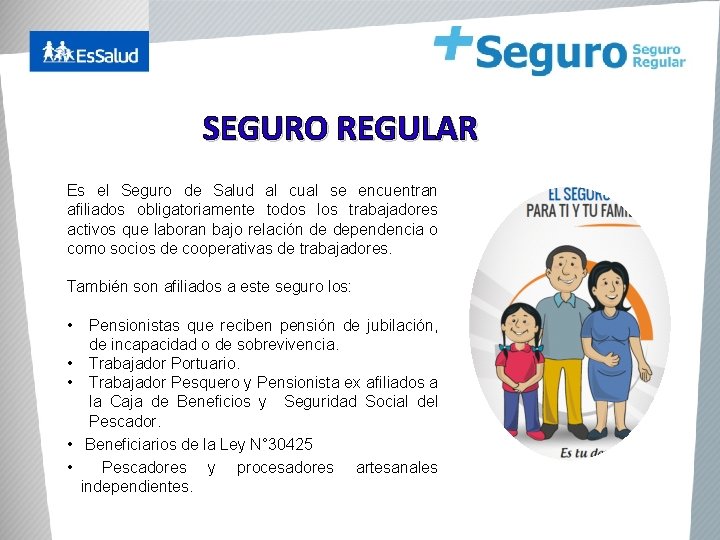 SEGURO REGULAR Es el Seguro de Salud al cual se encuentran afiliados obligatoriamente todos