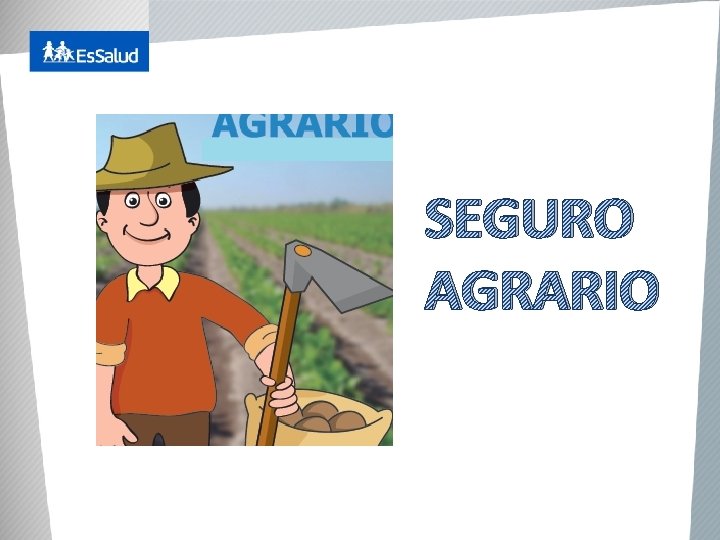 SEGURO AGRARIO 