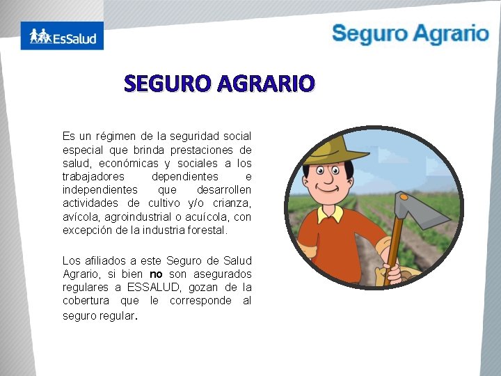 SEGURO AGRARIO Es un régimen de la seguridad social especial que brinda prestaciones de