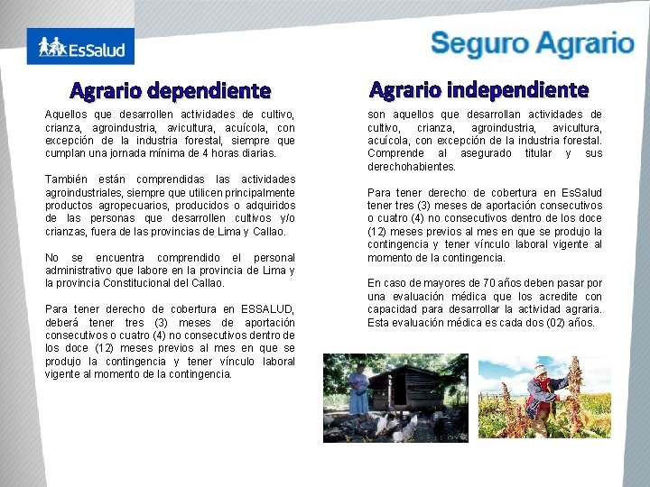 Agrario dependiente Aquellos que desarrollen actividades de cultivo, crianza, agroindustria, avicultura, acuícola, con excepción