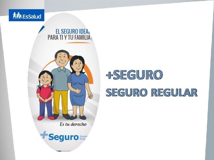 +SEGURO REGULAR 