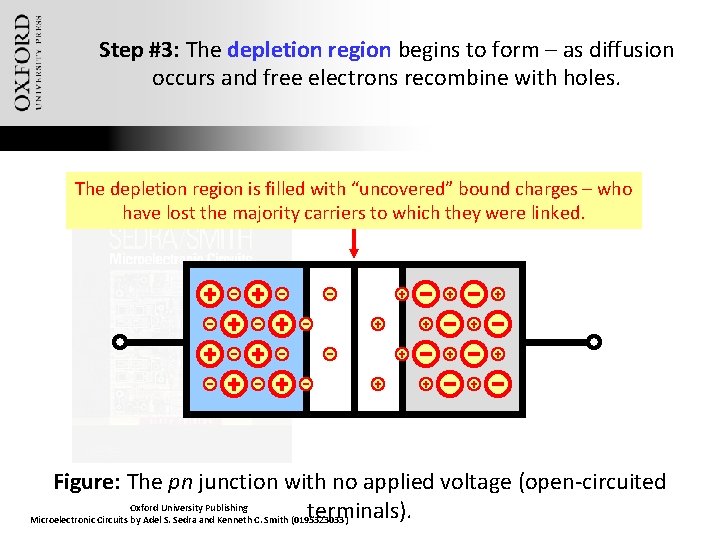 Step #3: The depletion region begins to form – as diffusion occurs and free