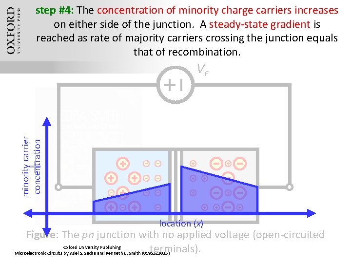 step #4: The concentration of minority charge carriers increases on either side of the