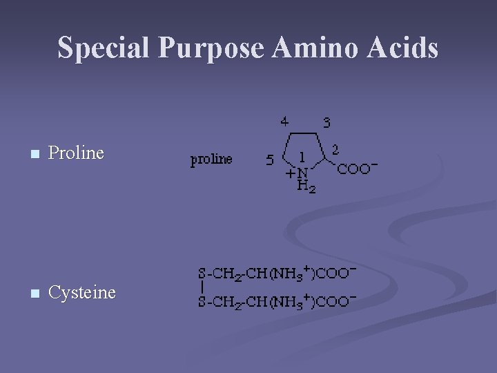 Special Purpose Amino Acids n Proline n Cysteine 