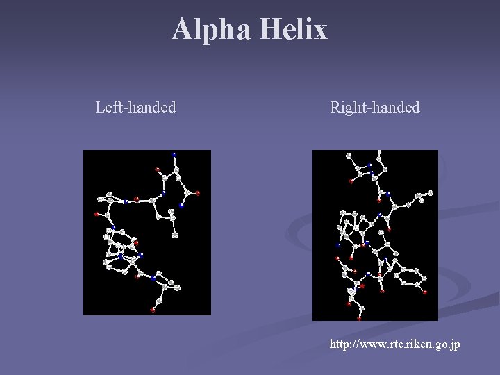 Alpha Helix Left-handed Right-handed http: //www. rtc. riken. go. jp 