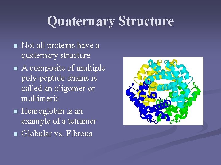 Quaternary Structure n n Not all proteins have a quaternary structure A composite of