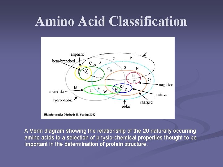 Amino Acid Classification A Venn diagram showing the relationship of the 20 naturally occurring