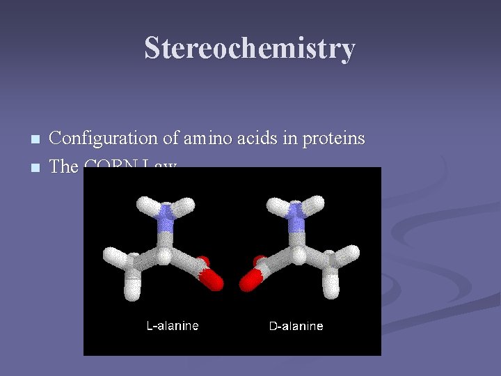 Stereochemistry n n Configuration of amino acids in proteins The CORN Law 
